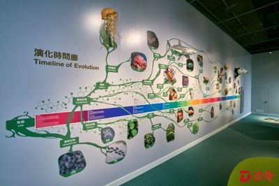 世界真奇妙!香港科学馆推出生物多样性展厅_读特新闻客户端